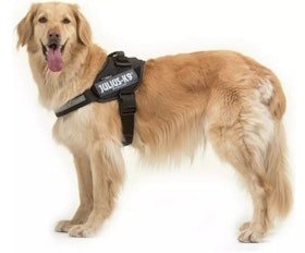 10 Best Dog Harnesses UK 2022 | Discourage Bad Habits and Aid Mobility 1