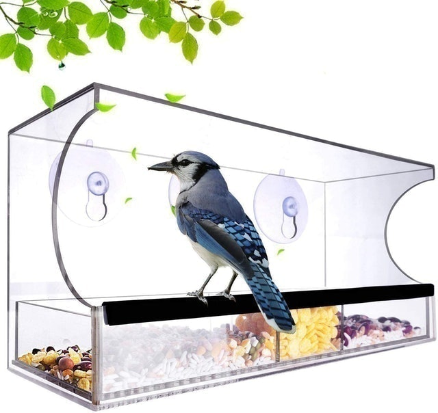 Nature Decor Acrylic Clear Window Bird Feeder  1