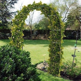 10 Best Garden Arches UK 2022 | TecTake, BIRCHTREE and More 3
