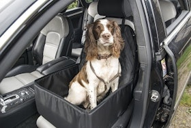10 Best Dog Car Seats UK 2022 3