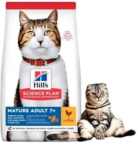 10 Best Cat Foods for Weight Loss UK 2022 | Purina, Royal Canin and More 4