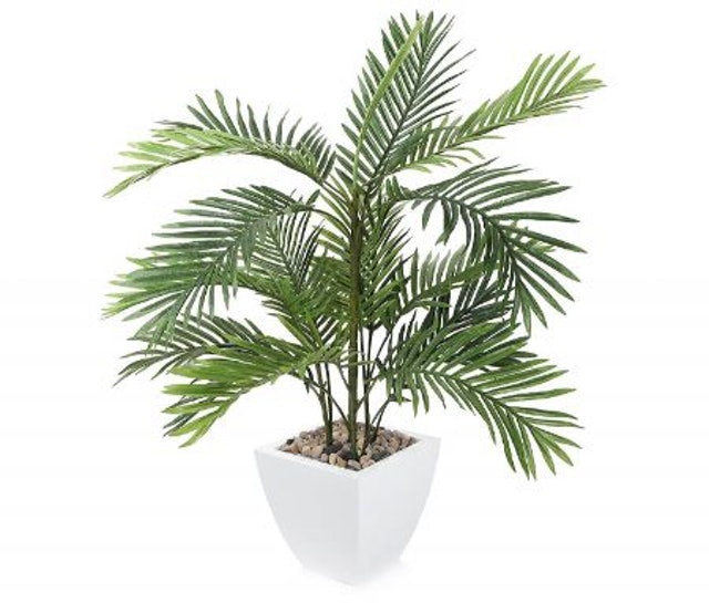 Closer2Nature  Artificial Kentia Palm Tree 1