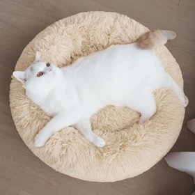10 Best Cat Beds UK 2022 | Rosewood, AmazonBasics and More 4