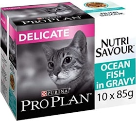 10 Best Cat Foods for Sensitive Stomachs UK 2022 | Royal Canin, Purina & More 5