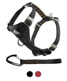 10 Best Dog Harnesses UK 2022 | Discourage Bad Habits and Aid Mobility 4