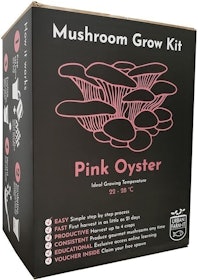 10 Best Mushroom Growing Kits UK 2022 | Shiitake, Chestnut, Pink Oyster and More 3