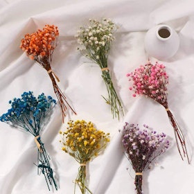 10 Best Dried Flowers and Grasses UK 2022 2
