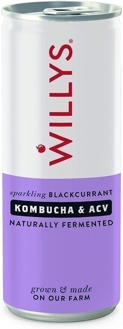 Willy's Blackcurrant Kombucha and ACV Drink 1