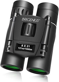 10 Best Birdwatching Binoculars UK 2022 | Nikon, Bushnell and More 1