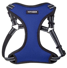 10 Best Dog Harnesses UK 2022 | Discourage Bad Habits and Aid Mobility 2