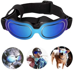10 Best Dog Goggles UK 2022 2