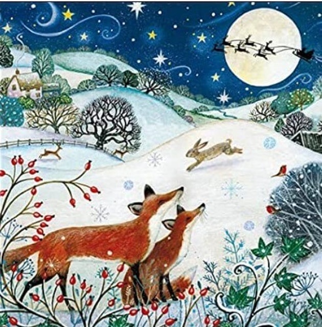 Woodmansterne Charity Christmas Cards - Artistic Festive Fox  1