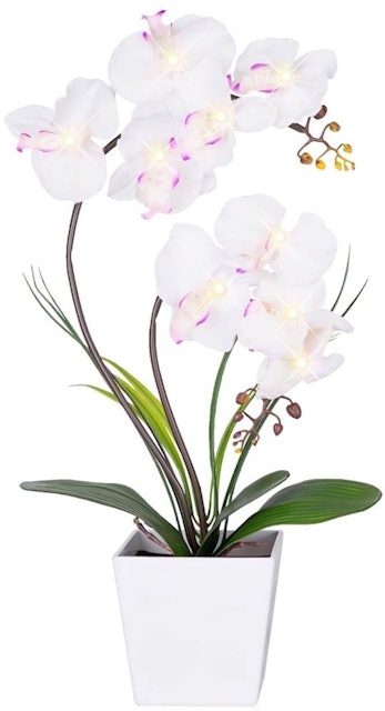 Homeseasons  LED Lighted Orchid Pot 1