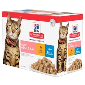 10 Best Cat Foods for Weight Loss UK 2022 | Purina, Royal Canin and More 2