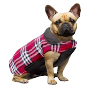 10 Best Dog Coats UK 2022