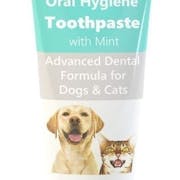 UK Veterinary Surgeon Reviewed | 10 Best Dog Toothpastes 2022
