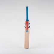 5 Best Cricket Bats UK 2022 | Kashmir and English Willow With Grades 5 to 1
