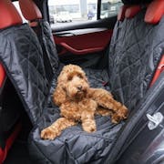 10 Best Dog Seat Covers UK 2022 | Kurgo, Rosewood and More