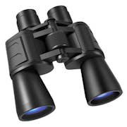 10 Best Birdwatching Binoculars UK 2022 | Nikon, Bushnell and More
