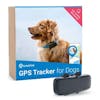 10 Best Dog GPS Trackers UK 2022 | Tractive, Pawfit and More