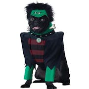 10 Best Halloween Costumes for Dogs UK 2022 | Cowboy Rider, Pumpkin Costumes and More