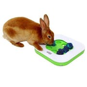 10 Best Toys for Rabbits 2022 | UK Veterinarian Reviewed