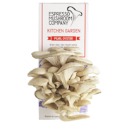 10 Best Mushroom Growing Kits UK 2022 | Shiitake, Chestnut, Pink Oyster and More