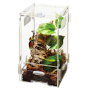 9 Best Terrariums for Reptiles UK 2022 | Ideal for Snakes, Lizards, Turtles and Geckos