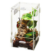 10 Best Terrariums for Reptiles UK 2022 | Ideal for Snakes, Lizards, Turtles and Geckos