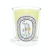 10 Best Diptyque Candles UK 2022 | Baies, Tuberose and More