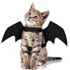 10 Best Halloween Costumes for Cats UK 2022