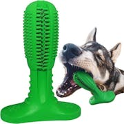 10 Best Toothbrushes for Dogs UK 2022