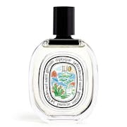 10 Best Diptyque Perfumes UK 2022 | Do Son, Philosykos and More